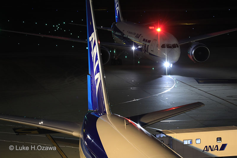 航空写真家 ルーク・オザワ