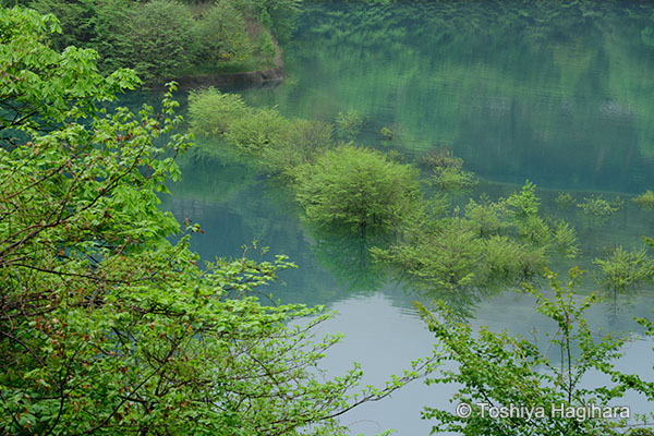 萩原俊哉 風景写真の作例（正位置）