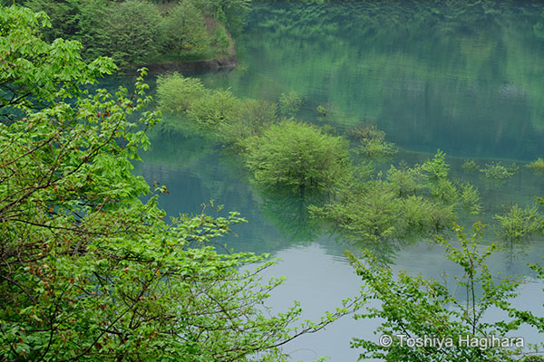 萩原俊哉 風景写真の作例(正位置)