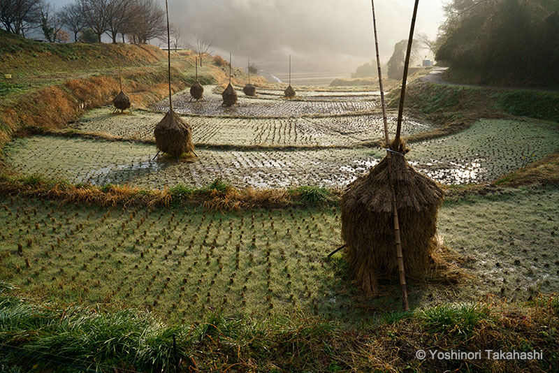 写真家 高橋良典 作例4