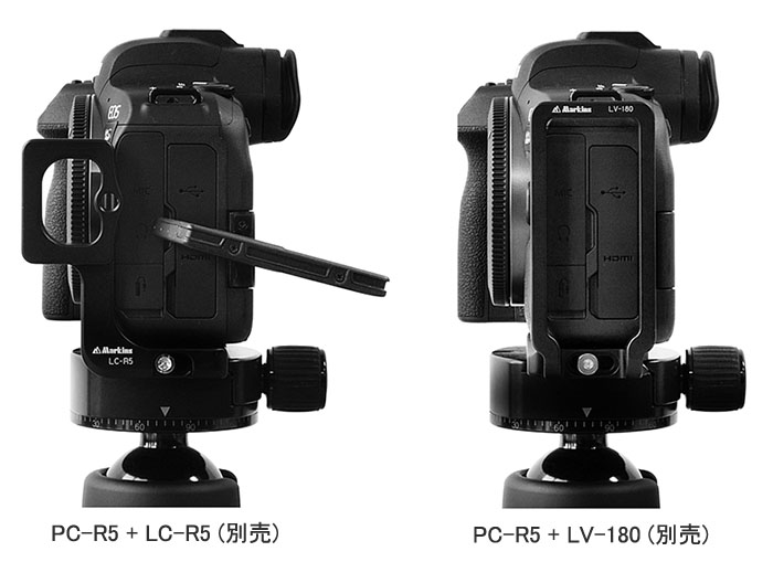 Canon EOS R Arca swiss plate