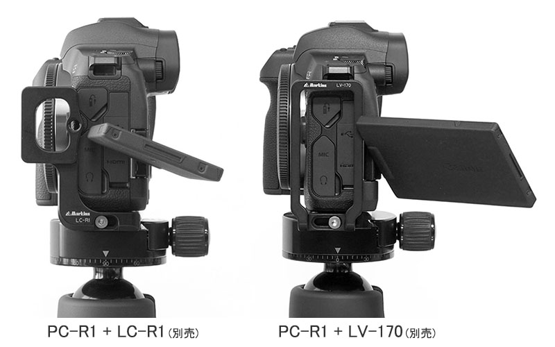 Canon EOS R Arca swiss plate