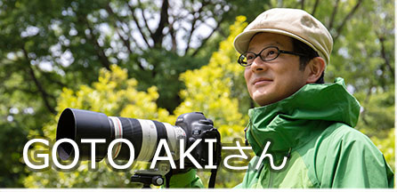 写真家 GOTO AKI