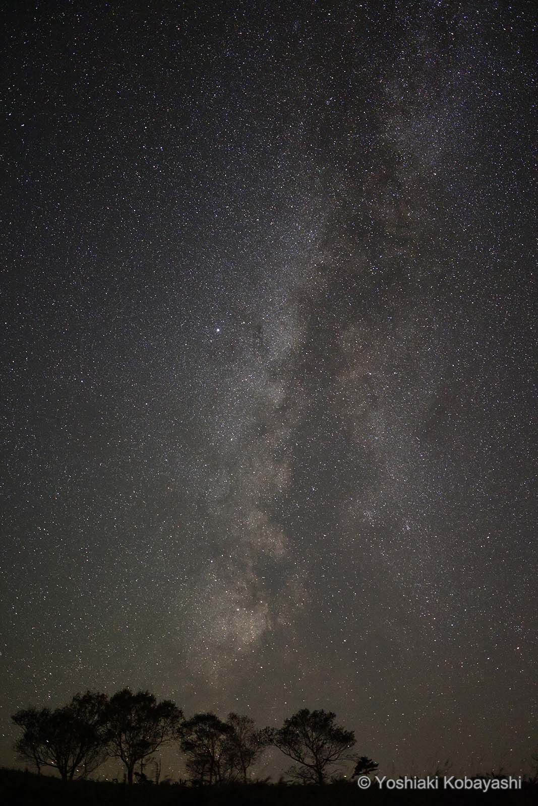 自然写真家 小林義明