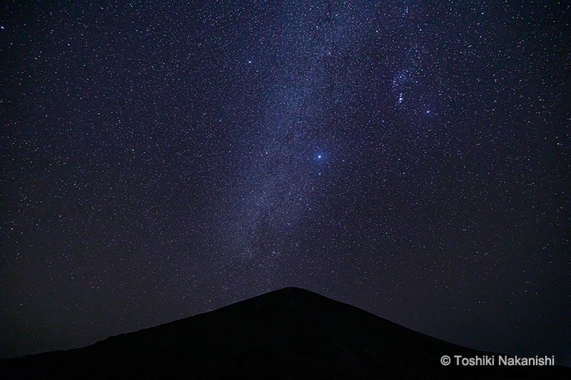 マーキンス自由雲台