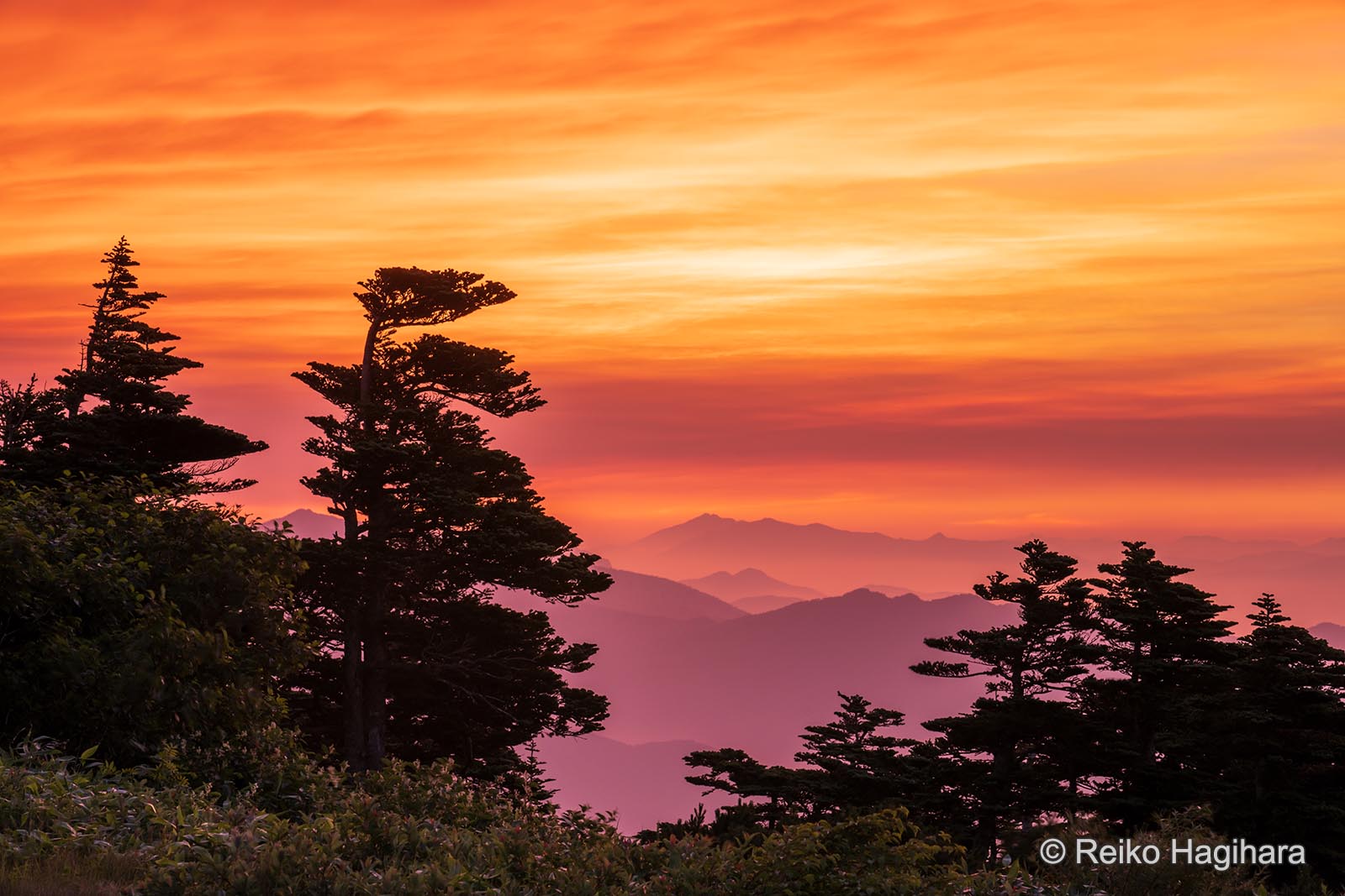 Shiga Kogen