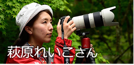 写真家 萩原れいこ
