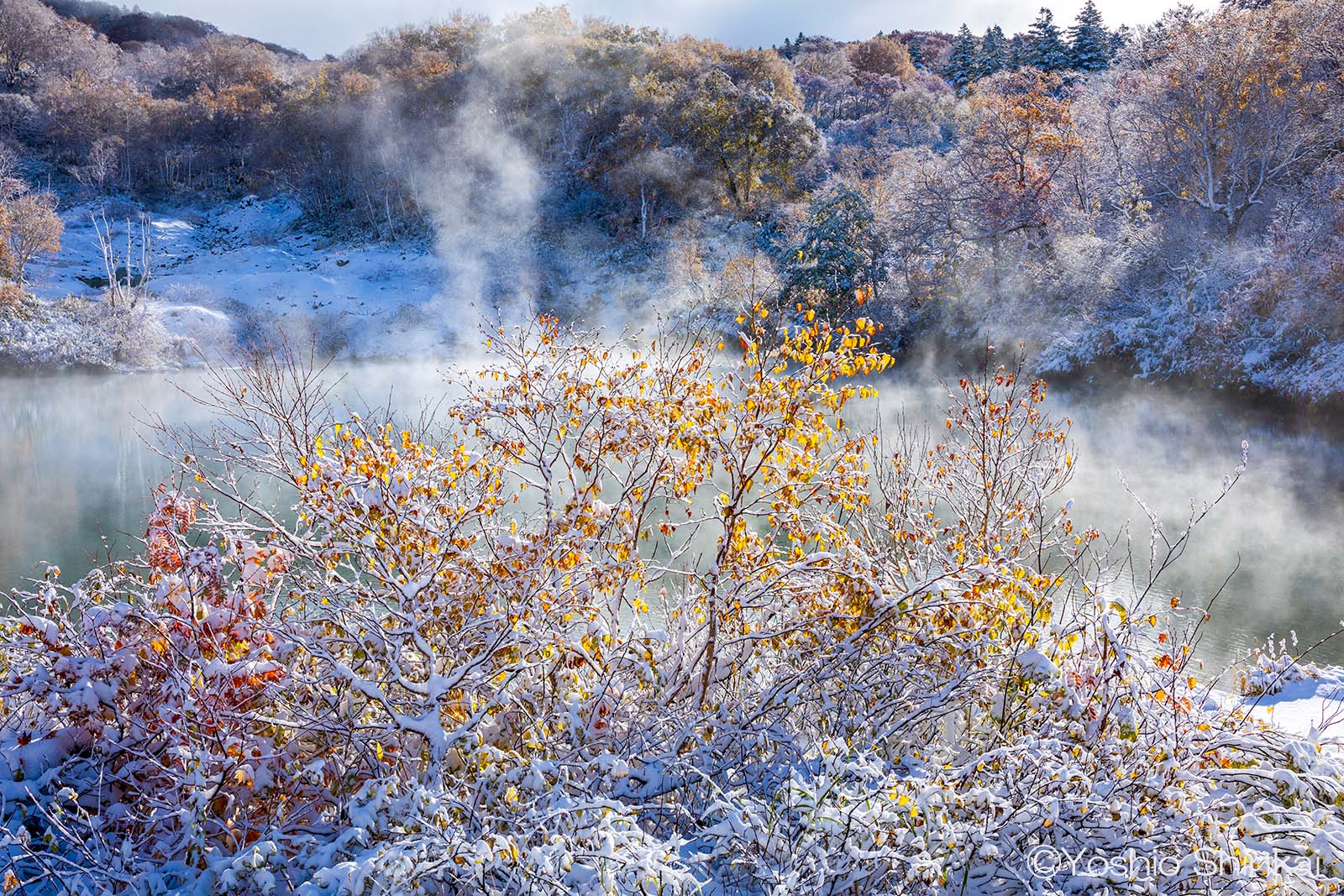 Photographer Yoshio Shinkai