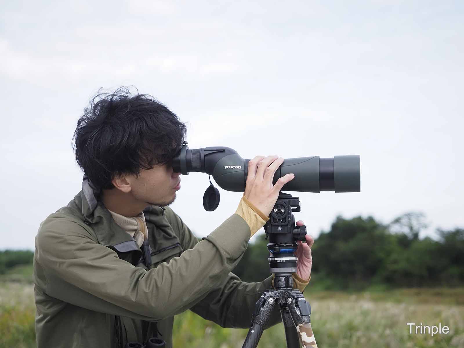 野鳥写真家 菅原貴徳