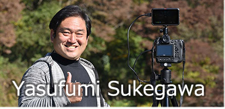 Yasufumi Sukegawa