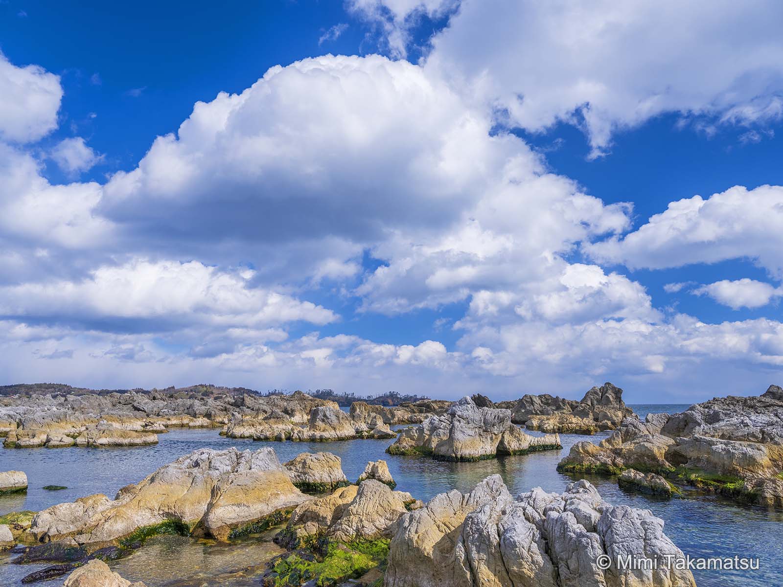 岩井崎