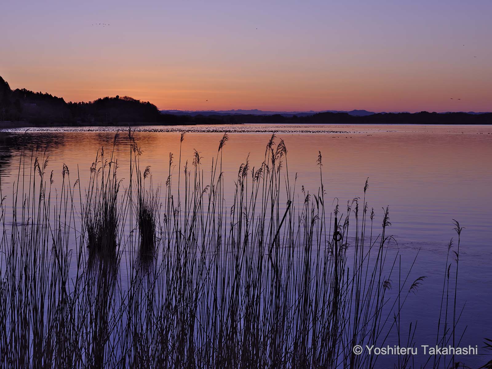 Landscape photographer Yoshiteru Takahashi