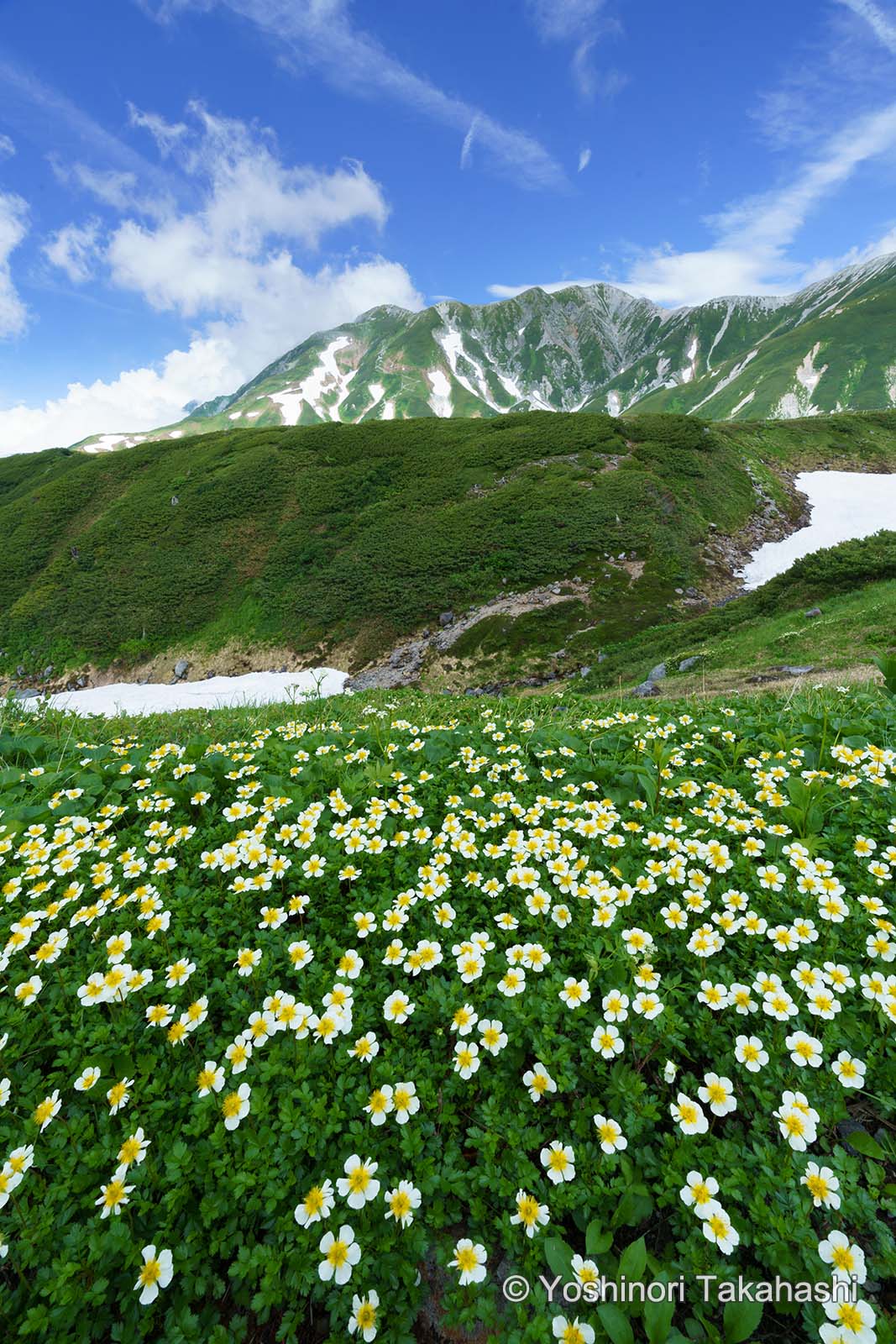 写真家　高橋良典