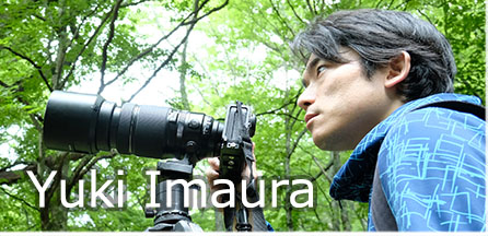 Yuki Imaura