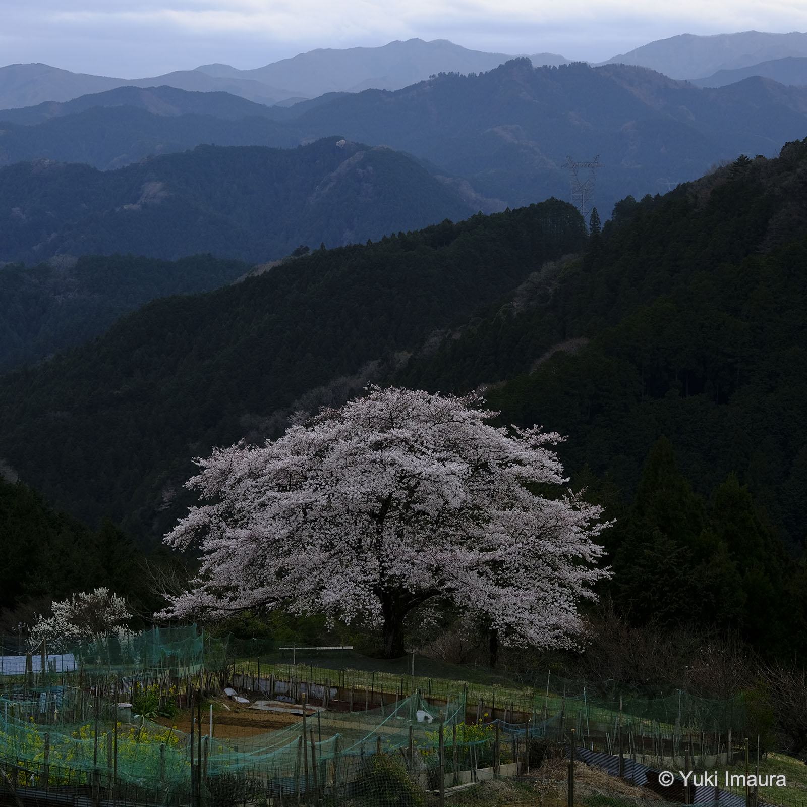 風景写真家 今浦友喜 作例3