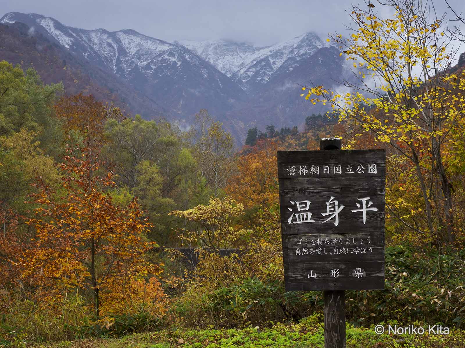 Examples of work by photographer Noriko Kita 3