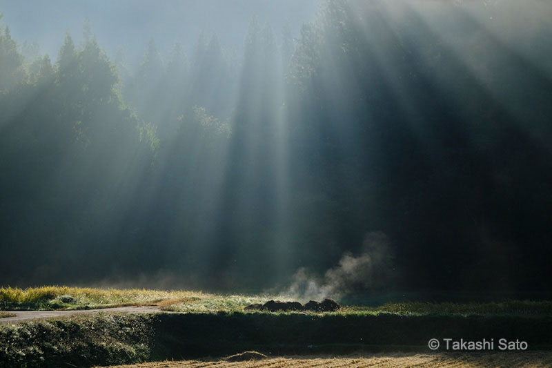 マーキンス Markins RC-60 プレート マーキンス Markins RC-60 プレート マーキンス Markins RC-60