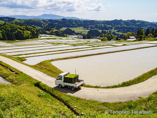 マーキンス風景写真の作例