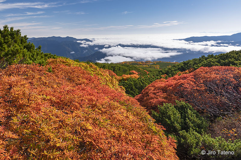 写真家 館野二朗 作例3