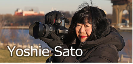 Yoshie Sato