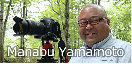 Manabu Yamamoto