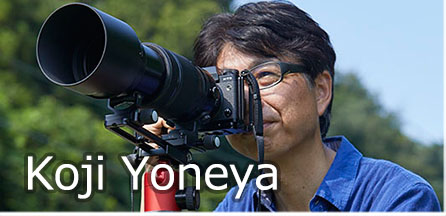 Koji Yoneya